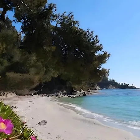 Chez Lina Apartment Le Lavandou